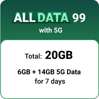 All Data 99